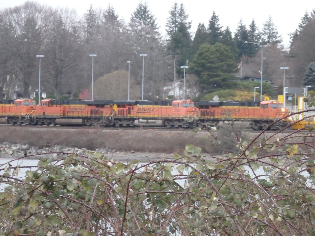 Foto: carguero de BNSF - Blaine (Washington), Estados Unidos