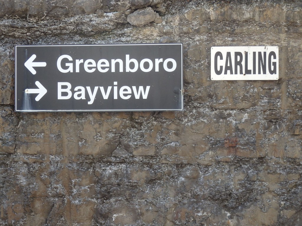 Foto: O-Train, Línea Trillium - Ottawa (Ontario), Canadá