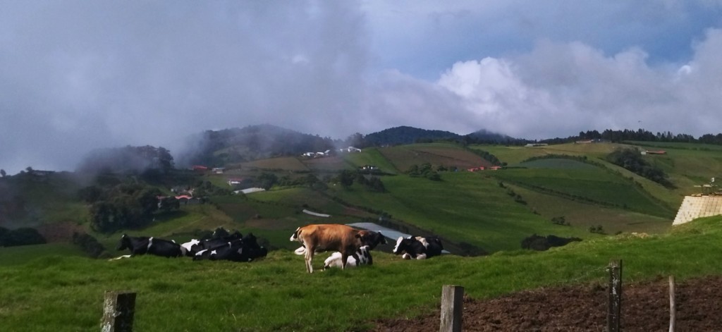 Foto de Laguna de Alfaro Ruiz (Alajuela), Costa Rica
