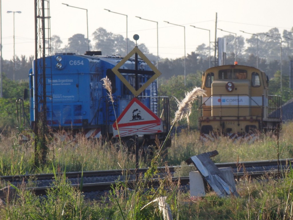 Foto: material rodante en playa - Bancalari (Buenos Aires), Argentina