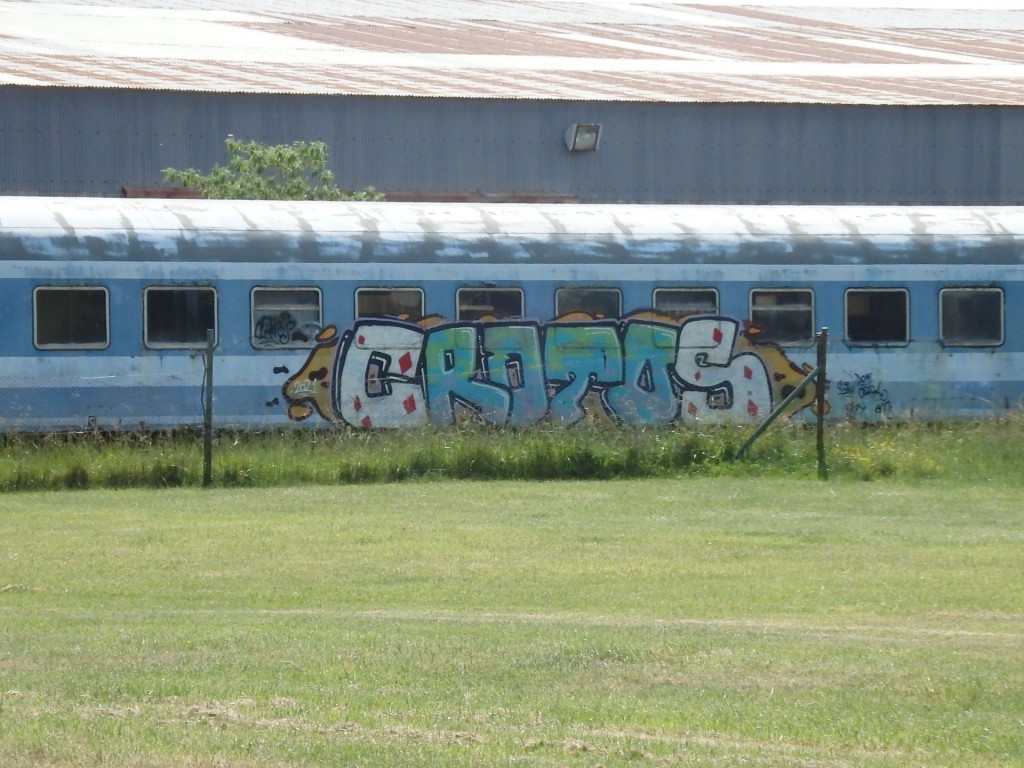Foto: predio de EMEPA - Chascomús (Buenos Aires), Argentina