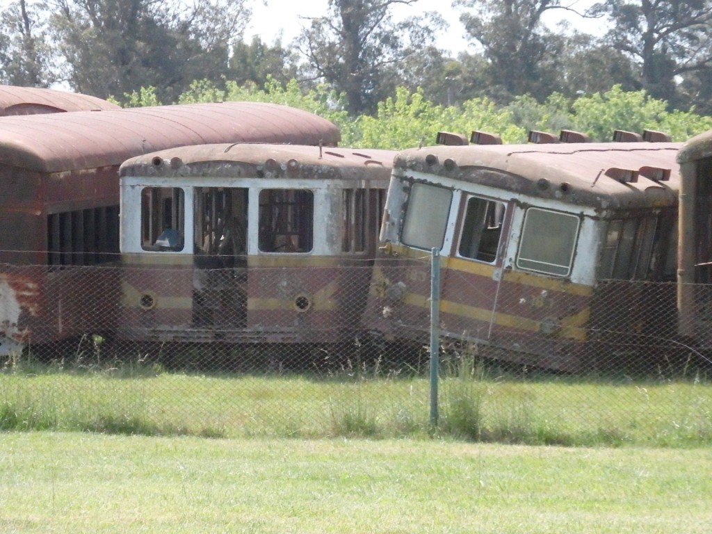 Foto: predio de EMEPA - Chascomús (Buenos Aires), Argentina