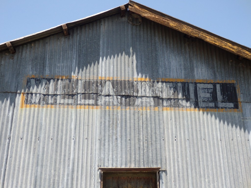 Foto: ex estación del FC San Martín - Villa Atuel (Mendoza), Argentina