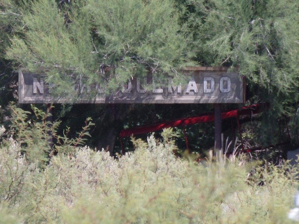 Foto: ex estación del FC San Martín - Negro Quemado (Mendoza), Argentina
