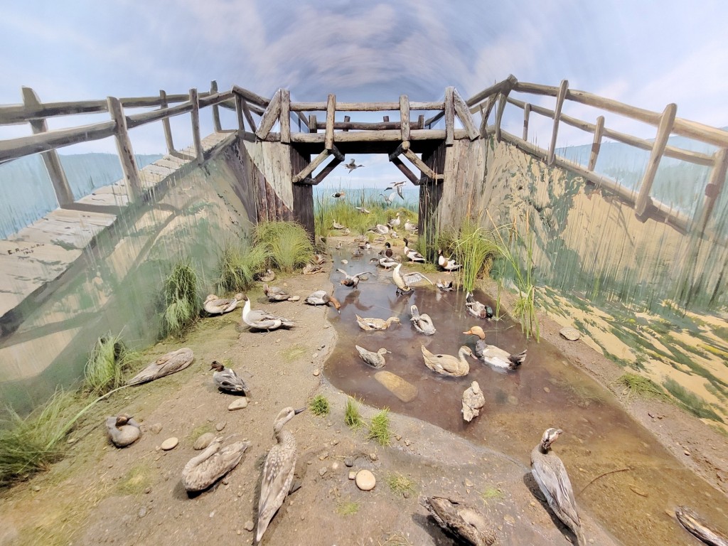 Foto: Diorama en el Palacio Real - Real Sitio de San Ildefonso (Segovia), España