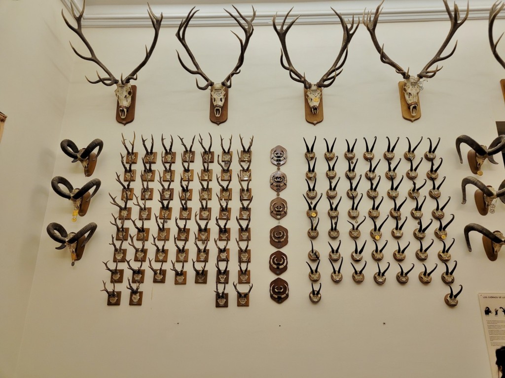 Foto: Diorama en el Palacio Real - Real Sitio de San Ildefonso (Segovia), España