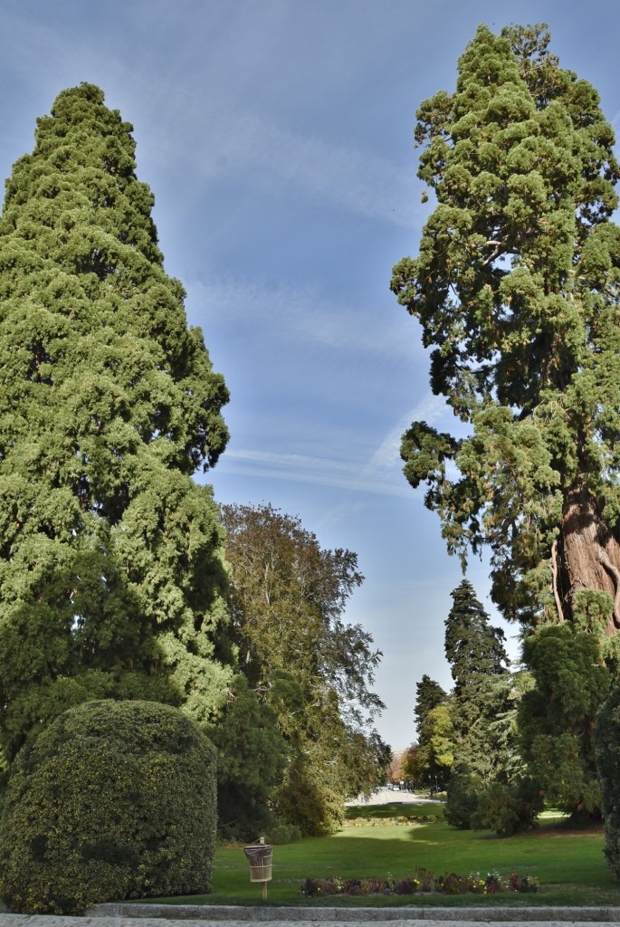 Foto: Palacio de la Granja - La Granja de San Ildefonso (Segovia), España