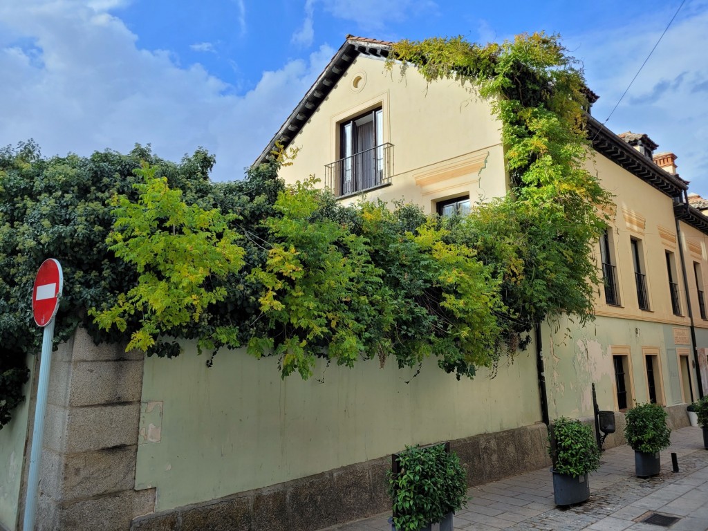 Foto: Centro histórico - La Granja de San Ildefonso (Segovia), España