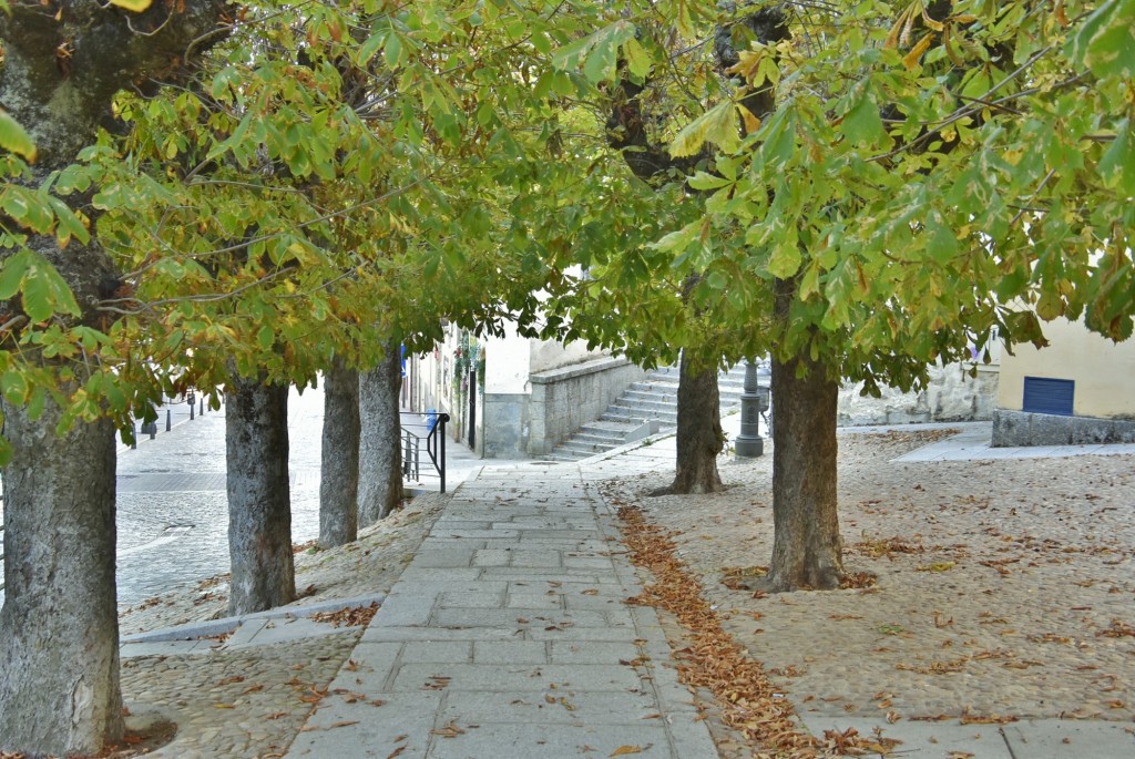 Foto: Centro histórico - La Granja de San Ildefonso (Segovia), España