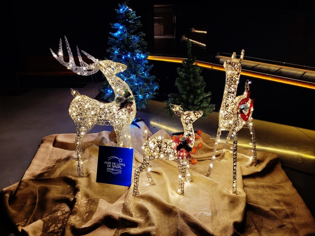 Foto: Museo Marítimo - Barcelona (Cataluña), España