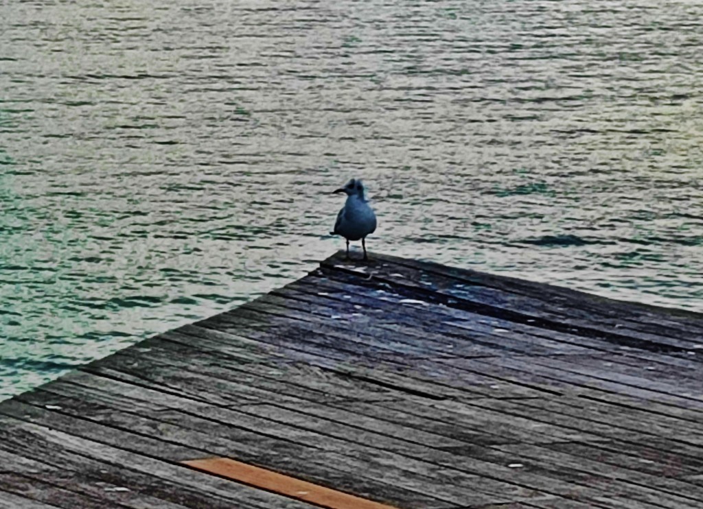 Foto: Port Vell - Barcelona (Cataluña), España