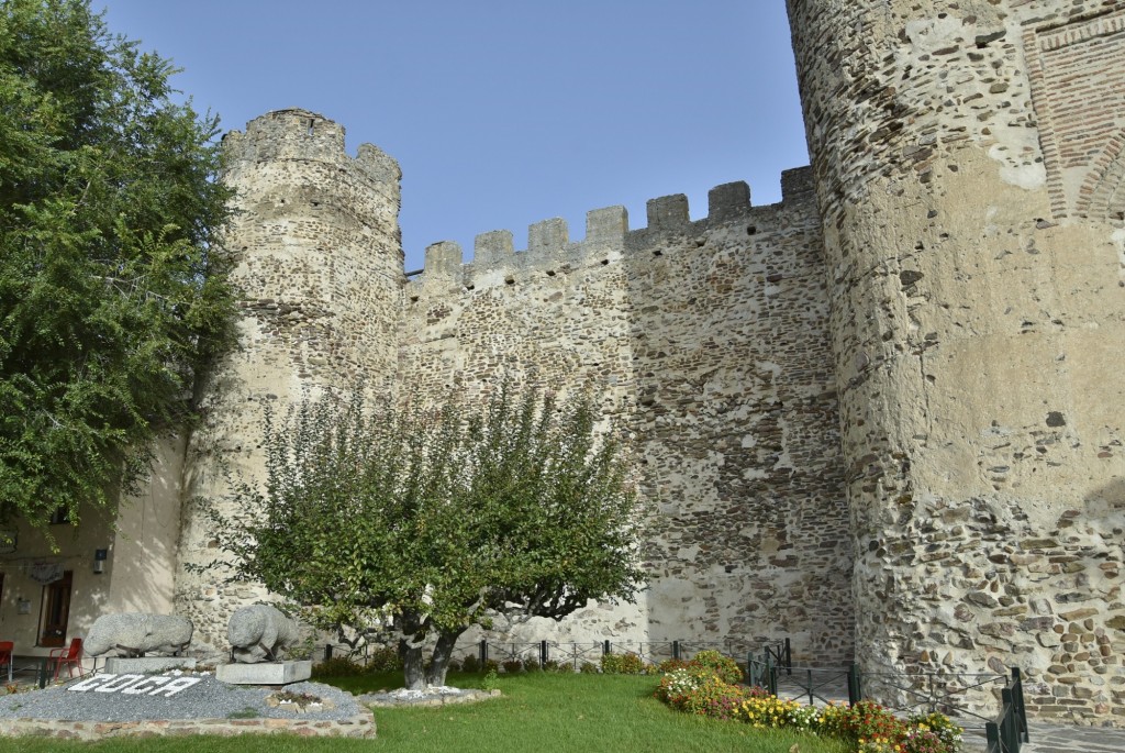 Foto: Centro histórico - Coca (Segovia), España