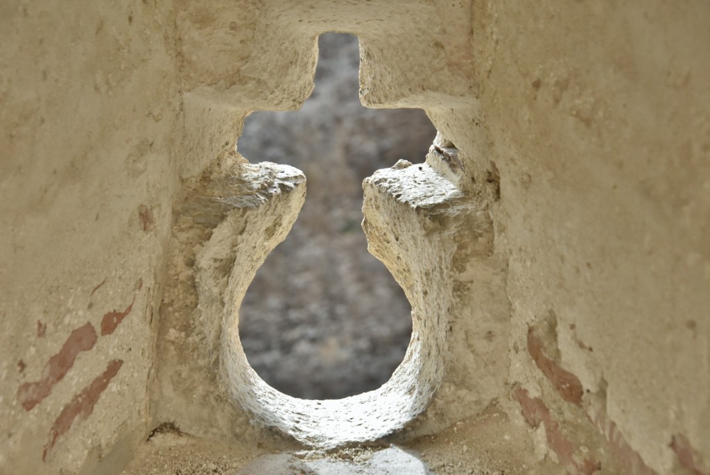 Foto: Castillo - Coca (Segovia), España