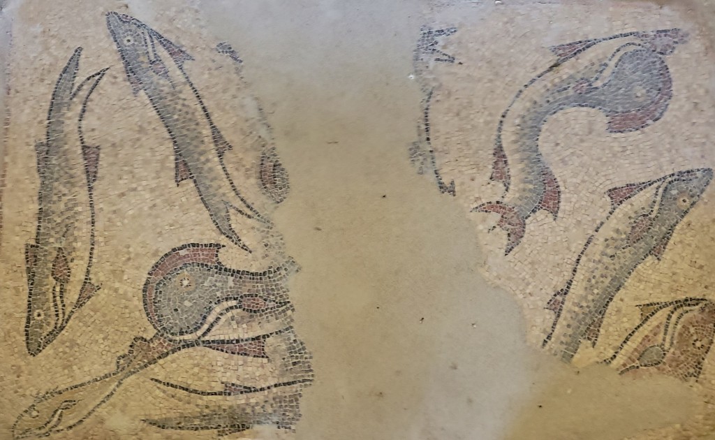 Foto: Villa romana - Puras (Valladolid), España