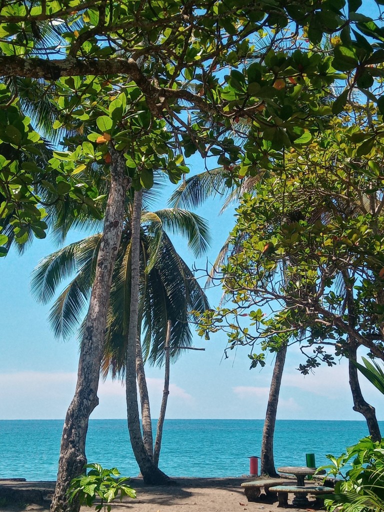 Foto de Playa de Manzanillo (Limón), Costa Rica