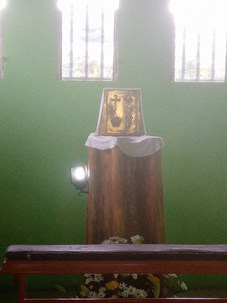 Foto de Valle de la Estrella (Limón), Costa Rica