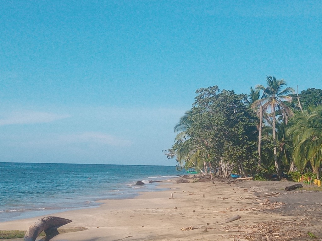 Foto de Playa de Manzanillo (Limón), Costa Rica