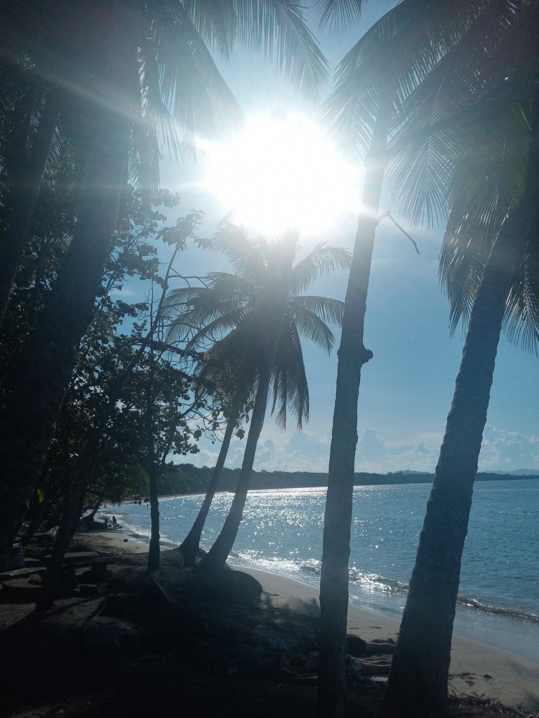 Foto de Playa de Manzanillo (Limón), Costa Rica