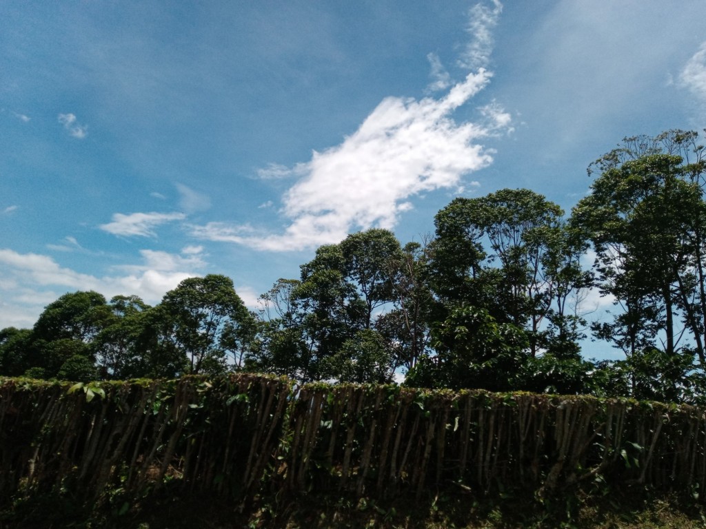 Foto de Parque Natural de Poás, Costa Rica