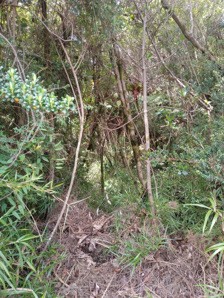 Foto de Parque Natural de Poás, Costa Rica