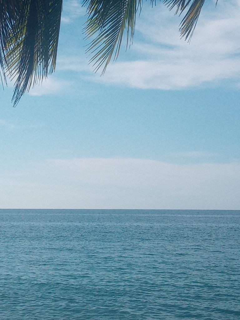 Foto de Playa de Manzanillo (Limón), Costa Rica