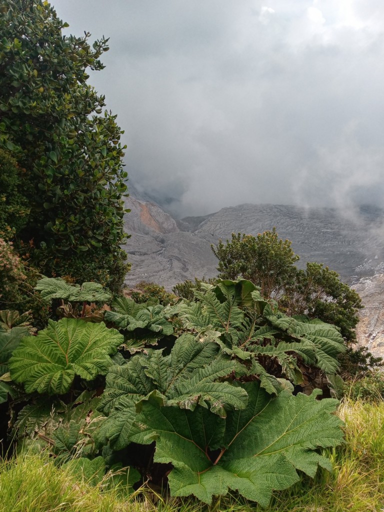 Foto de Parque Natural de Poás, Costa Rica