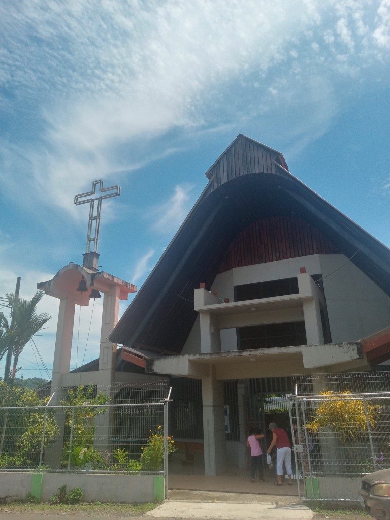 Foto de Valle de la Estrella (Limón), Costa Rica
