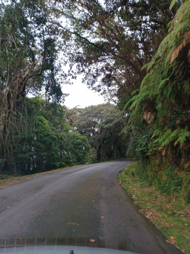 Foto de Parque Natural de Poás, Costa Rica