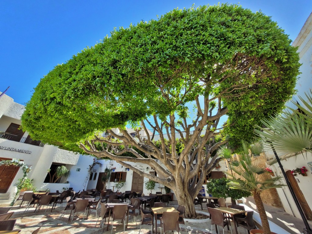 Foto: Centro histórico - Mojácar (Almería), España