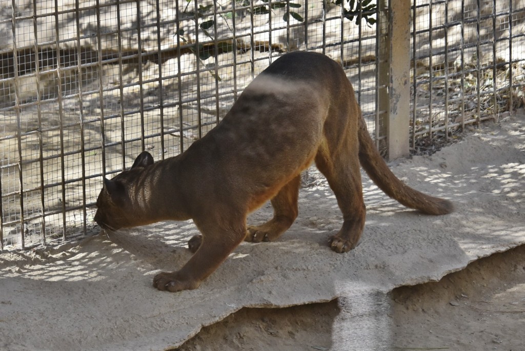 Foto: Oasys Minihollywood - Tabernas (Almería), España