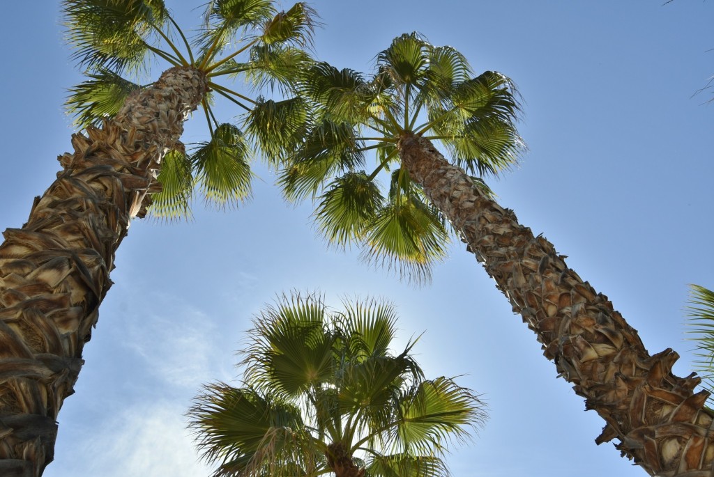 Foto: Oasys Minihollywood - Tabernas (Almería), España