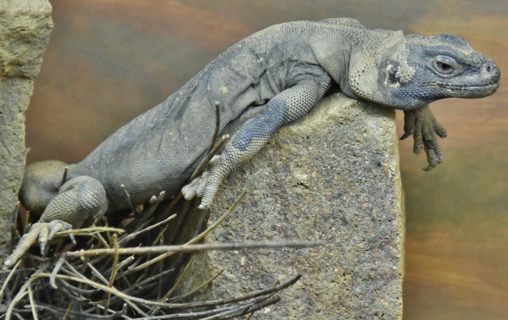 Foto: Oasys Minihollywood - Tabernas (Almería), España