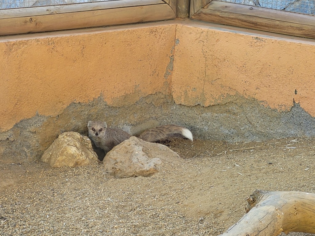 Foto: Oasys Minihollywood - Tabernas (Almería), España