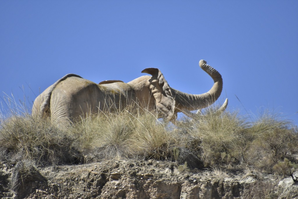 Foto: Oasys Minihollywood - Tabernas (Almería), España