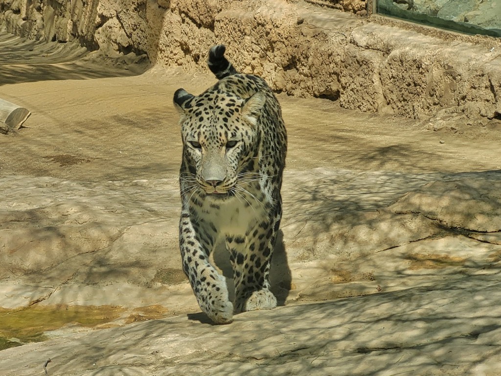 Foto: Oasys Minihollywood - Tabernas (Almería), España