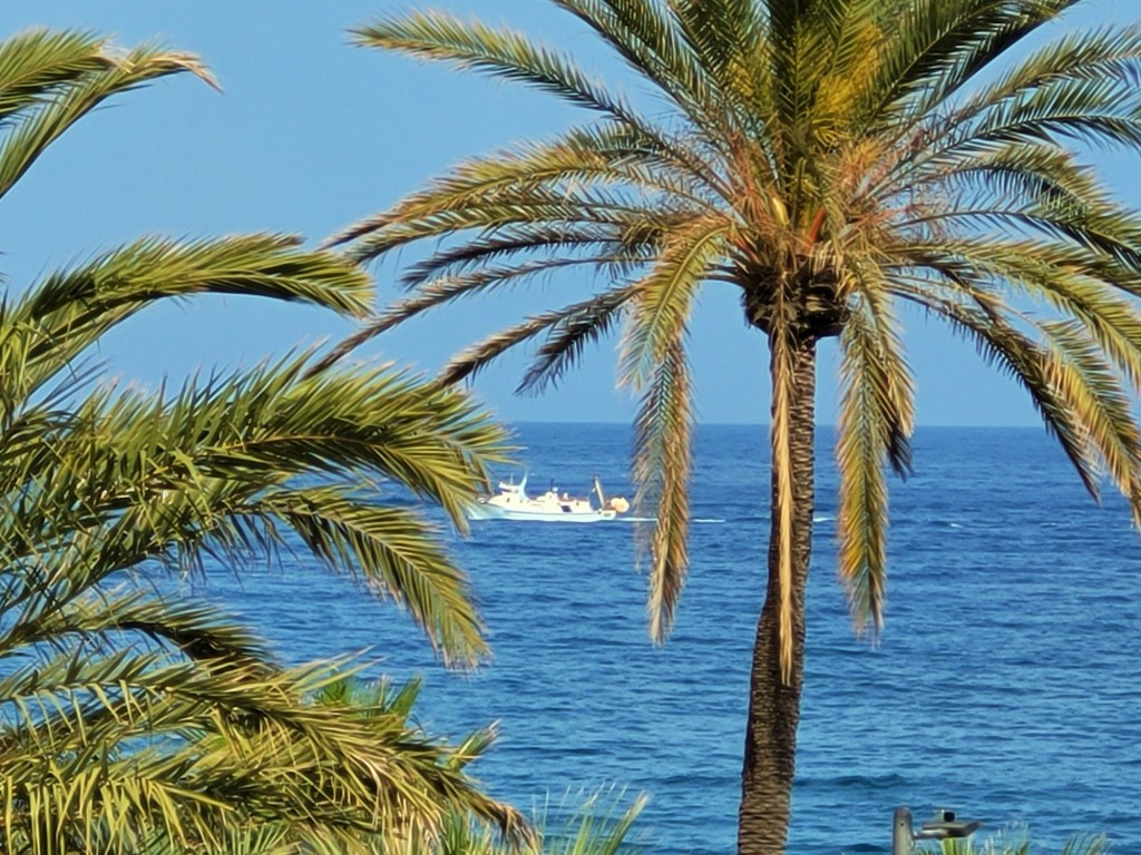 Foto: Navegando - Mojácar (Almería), España