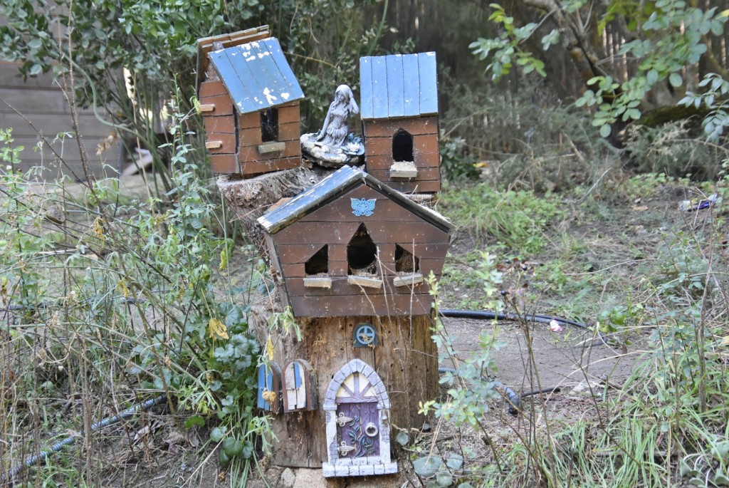Foto: El bosque encantado - San Martín de Valdeiglesias (Madrid), España