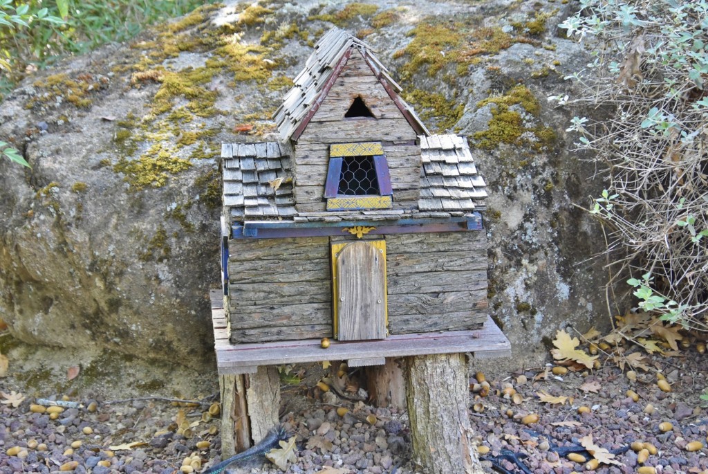 Foto: El bosque encantado - San Martín de Valdeiglesias (Madrid), España
