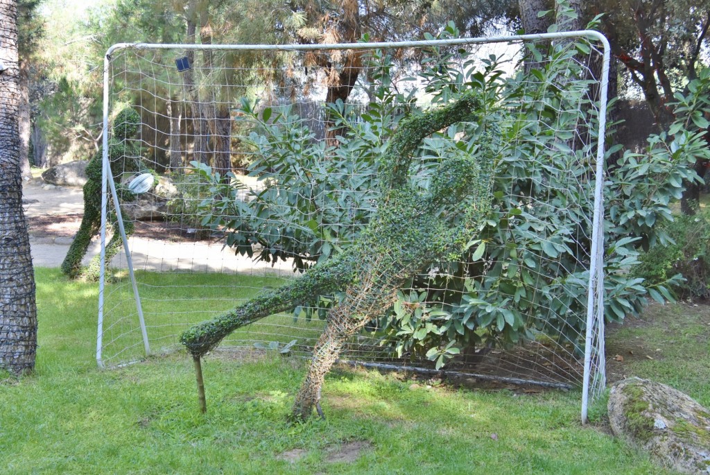 Foto: El bosque encantado - San Martín de Valdeiglesias (Madrid), España
