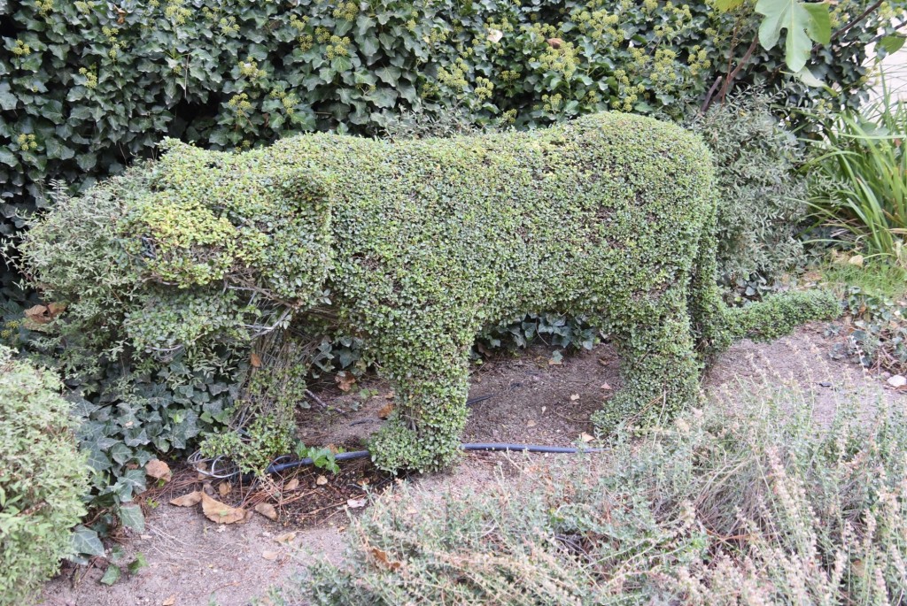 Foto: El bosque encantado - San Martín de Valdeiglesias (Madrid), España