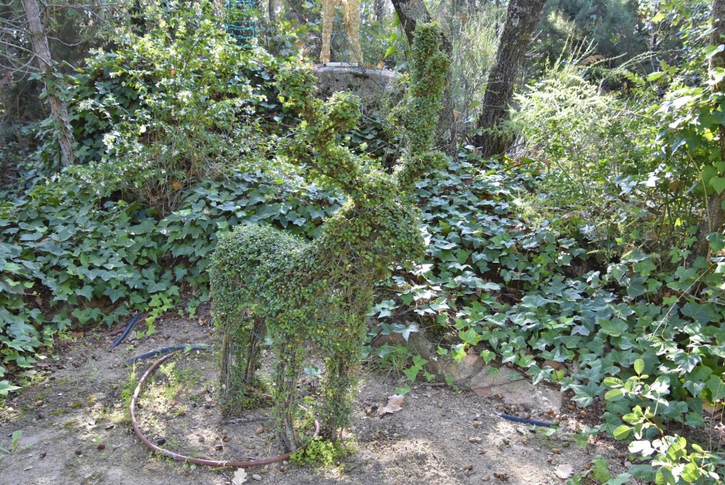 Foto: El bosque encantado - San Martín de Valdeiglesias (Madrid), España