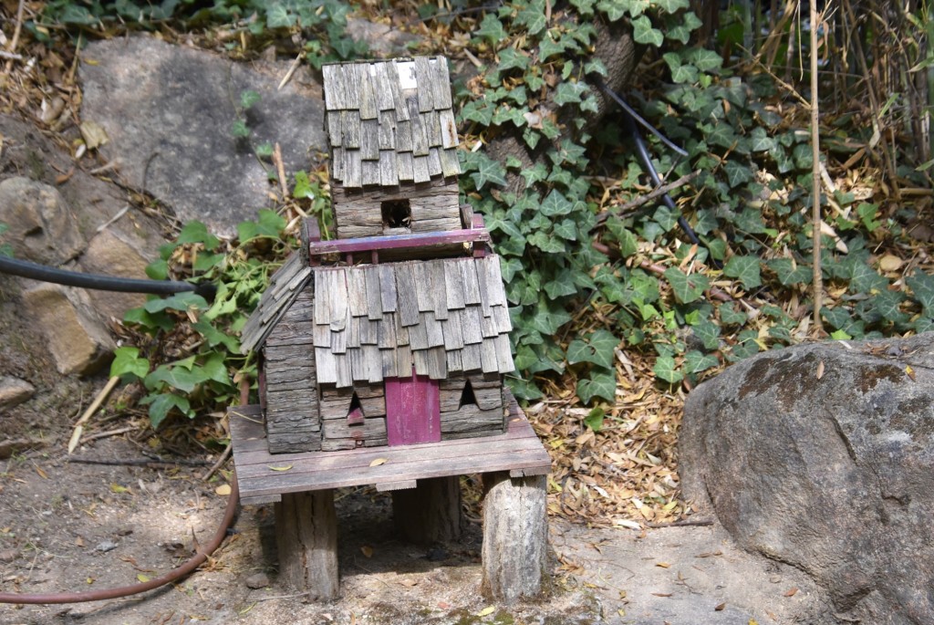 Foto: El bosque encantado - San Martín de Valdeiglesias (Madrid), España