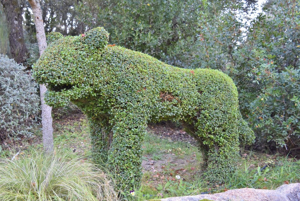 Foto: El bosque encantado - San Martín de Valdeiglesias (Madrid), España