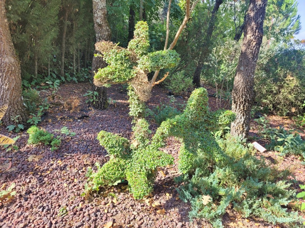 Foto: El bosque encantado - San Martín de Valdeiglesias (Madrid), España