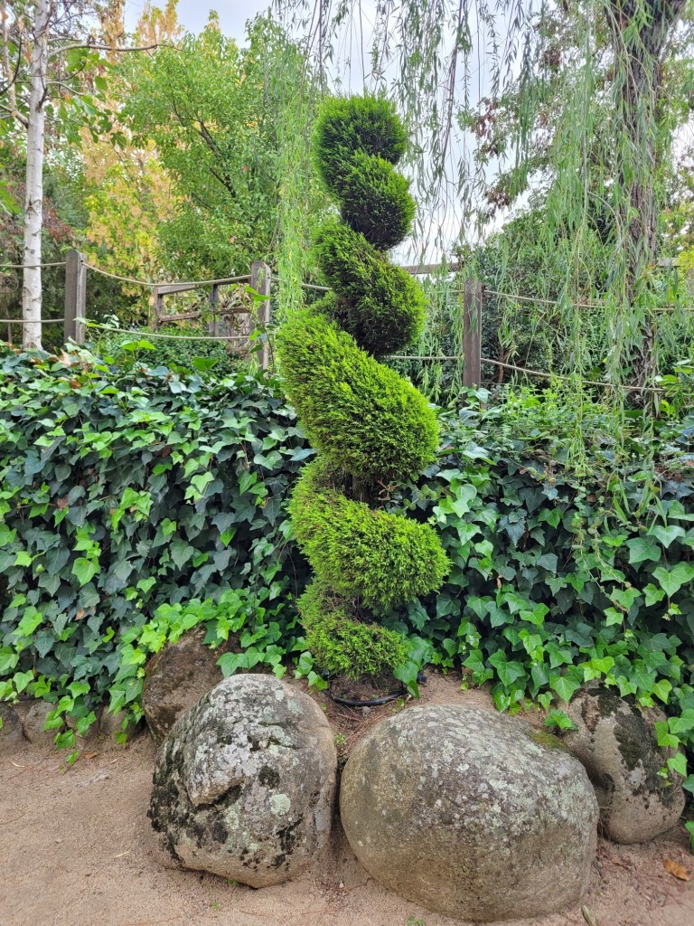 Foto: El bosque encantado - San Martín de Valdeiglesias (Madrid), España