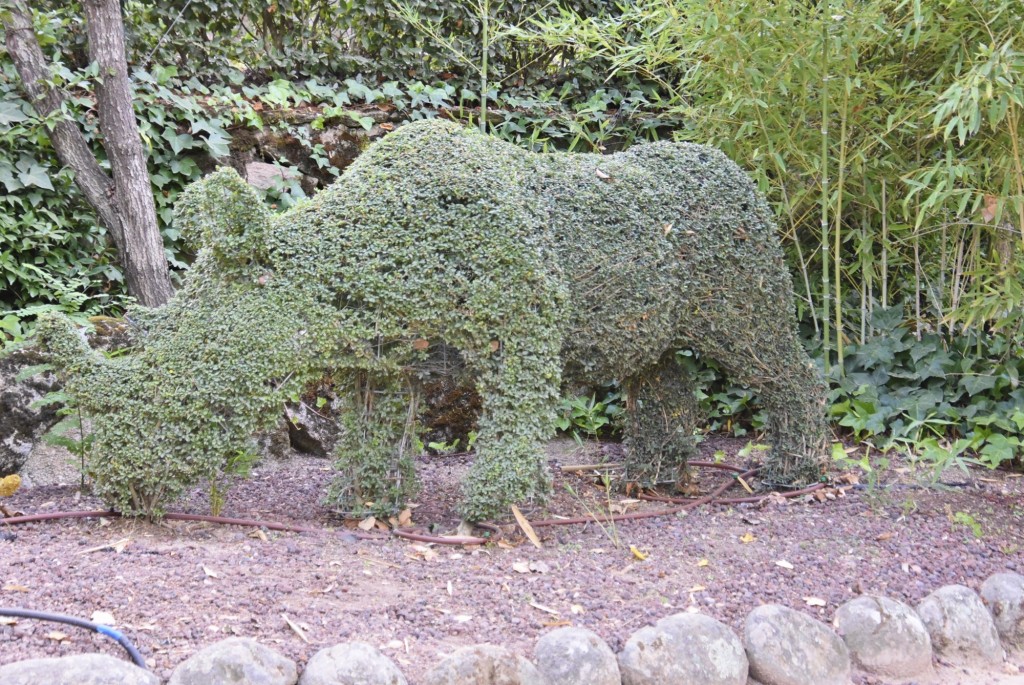 Foto: El bosque encantado - San Martín de Valdeiglesias (Madrid), España