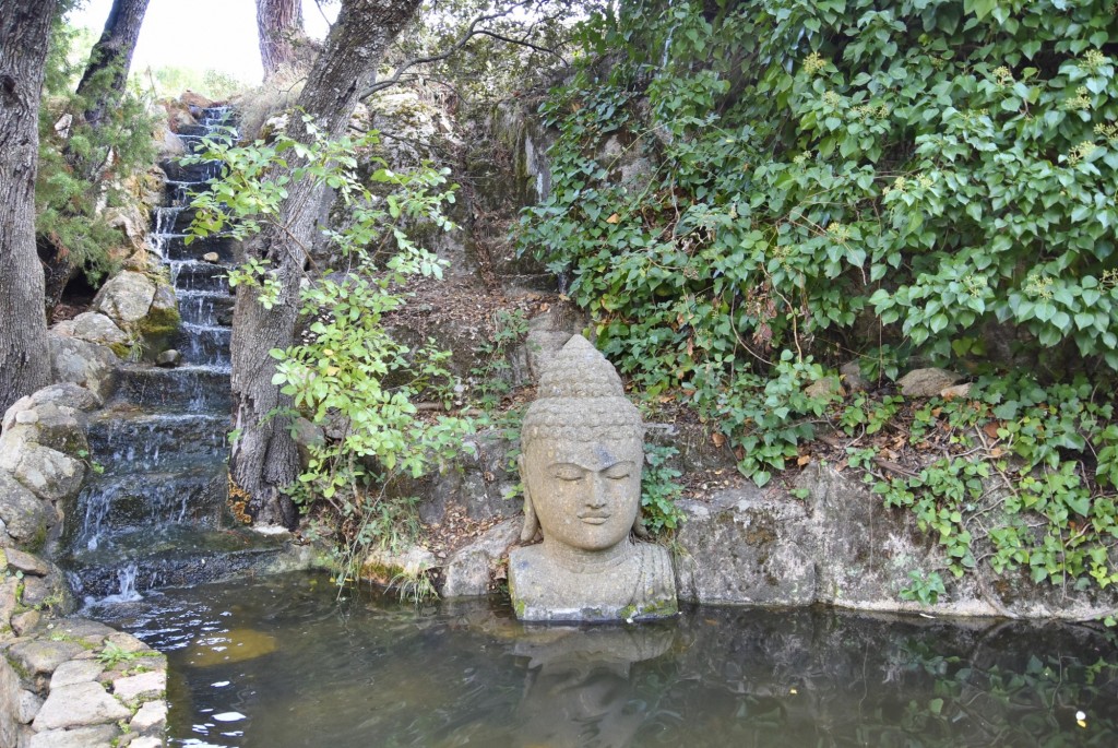Foto: El bosque encantado - San Martín de Valdeiglesias (Madrid), España