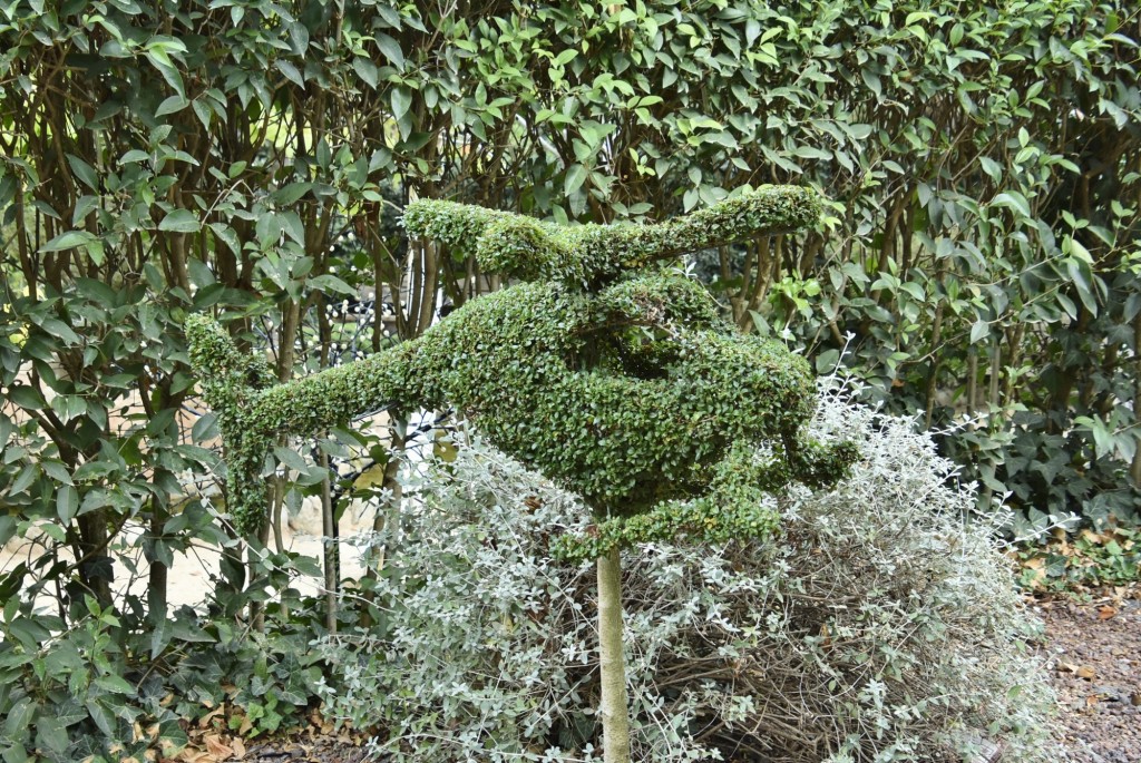 Foto: El bosque encantado - San Martín de Valdeiglesias (Madrid), España