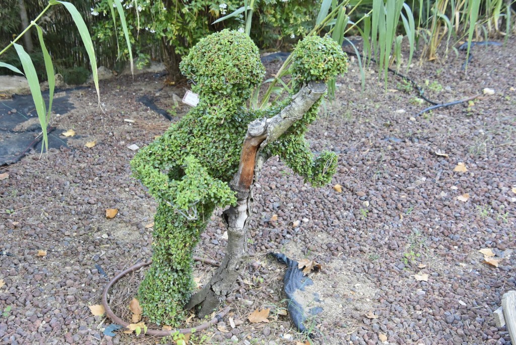 Foto: El bosque encantado - San Martín de Valdeiglesias (Madrid), España