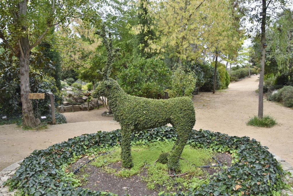 Foto: El bosque encantado - San Martín de Valdeiglesias (Madrid), España